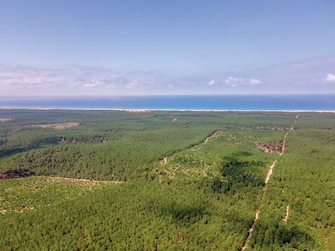 SOWELL - Domaine Les Cavales - Camping Gironde - Image N°21