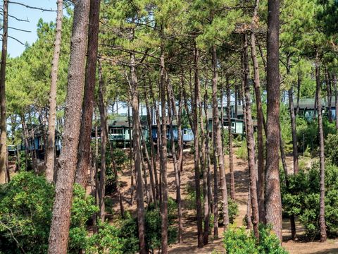 SOWELL - Domaine Les Cavales - Camping Gironde - Image N°18