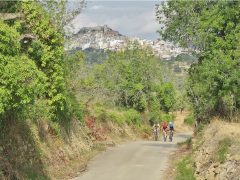 Ciudad del Ciclismo - Camping Castellón - Image N°21