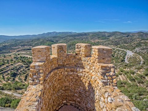 Ciudad del Ciclismo - Camping Castellón - Image N°26