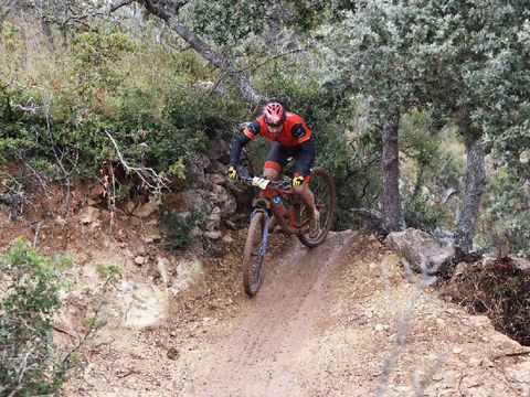 Ciudad del Ciclismo - Camping Castellón - Image N°19
