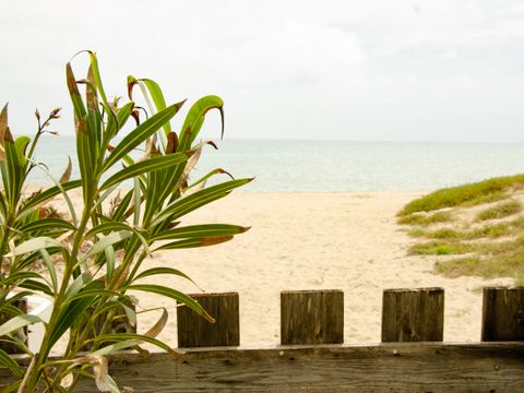 Emplacement - Maxi