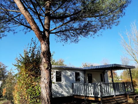 MOBILHOME 6 personnes - MH 3 CH CONFORT 6 pers 1/6 pers