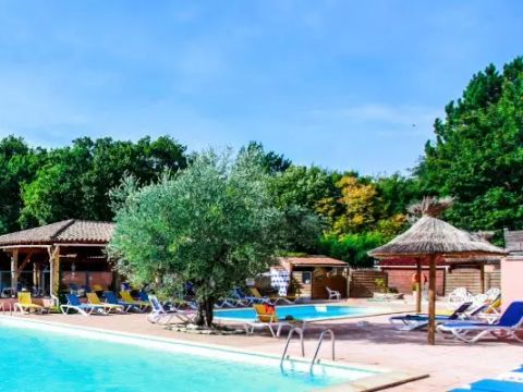 Camping Le Luberon - Camping Vaucluse - Image N°9