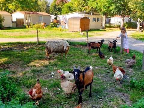 Village des Bons-Hommes au Pré Cathare - Camping Ariège - Afbeelding N°10