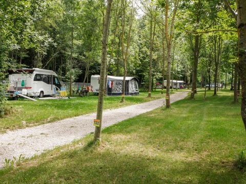 Emplacement - Forfait Confort : 1 véhicule + caravane ou tente + électricité
