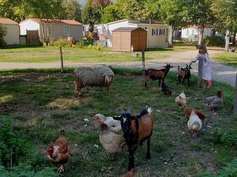 Village des Bons-Hommes au Pré Cathare - Camping Ariège