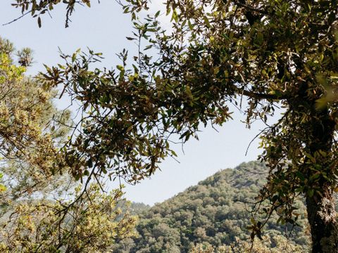 Slow Village Anduze - Camping Gard - Image N°22