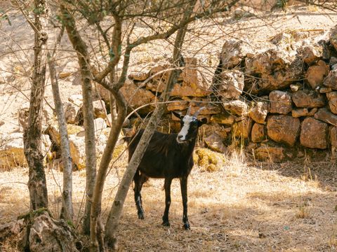 Slow Village Anduze - Camping Gard - Image N°34