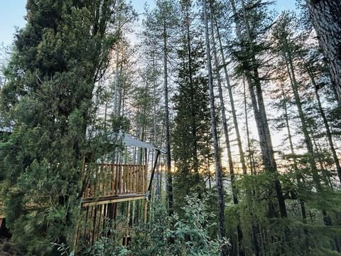 TENTE TOILE ET BOIS 6 personnes - Camping Luna del Monte - Tente Safari 6 personnes