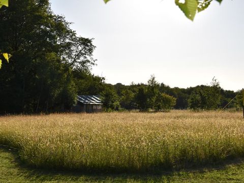 Domaine Bleu Céleste - Camping Allier - Image N°7