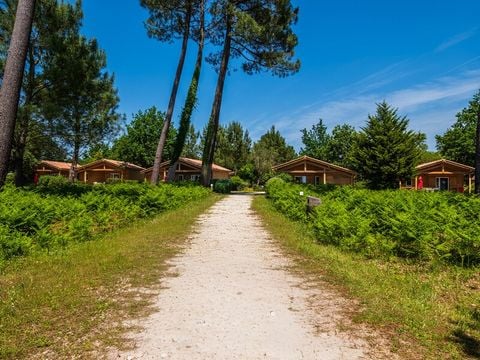  Résidence Les Cottages du Lac - Camping Landes - Image N°11