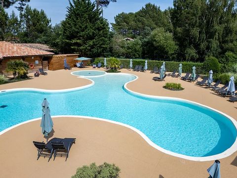  Résidence Les Cottages du Lac - Camping Landes - Image N°3