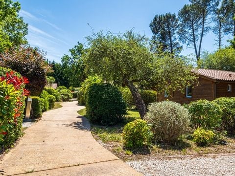  Résidence Les Cottages du Lac - Camping Landes - Image N°13