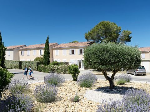 Residence Le Mas des Vignes - Camping Gard - Image N°22