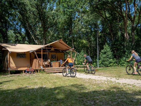 Landal Gooise Heide - Camping Huizen - Image N°4