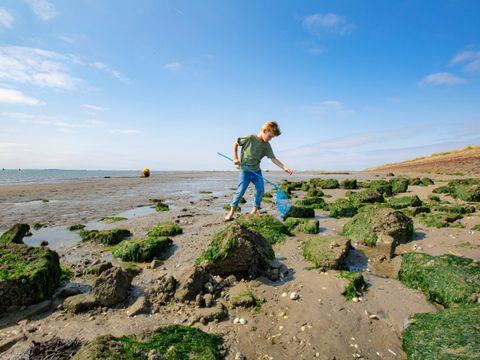 Landal Kaap West - Camping Terschelling - Image N°12
