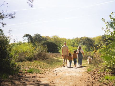 TENTE TOILE ET BOIS 4 personnes - Cabane en rondins | 4 personnes