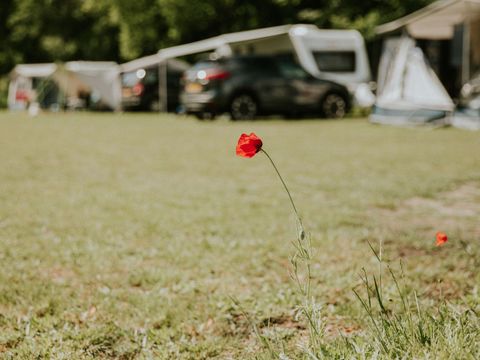 Emplacement - Confort avec sanitaires privés - Bosuil