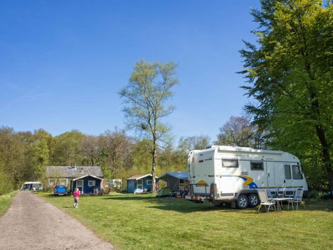 Vodatent Landgoedcamping Nienoord - Camping Westerkwartier - Image N°9