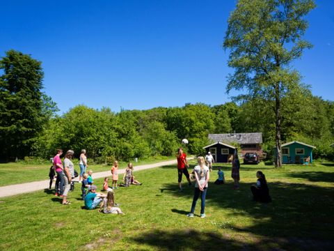 Vodatent Landgoedcamping Nienoord - Camping Westerkwartier - Image N°12