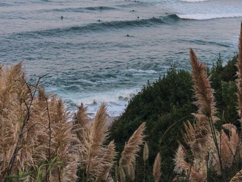 Wecamp San Sebastian - Camping Guipuscoa - Image N°2