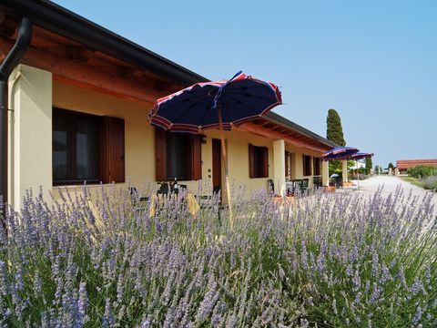 APPARTEMENT 4 personnes - Appartement Country Classic Garden Pool