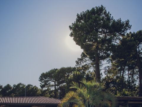 Camping Vacances André Trigano - Domaine de Montcalm - Camping Charente-Maritime - Image N°36