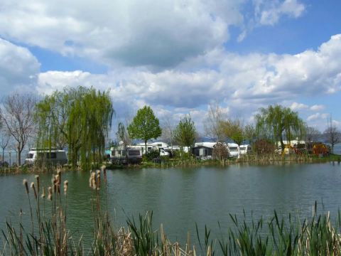 Trasimeno Glamping Resort  - Camping Perugia - Image N°0
