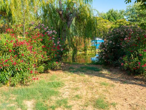 Trasimeno Glamping Resort  - Camping Perugia - Image N°2