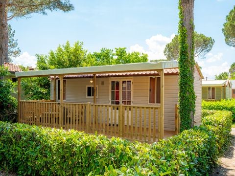 Trasimeno Glamping Resort  - Camping Perugia