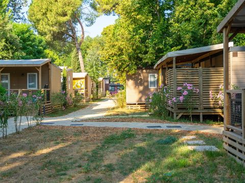 Trasimeno Glamping Resort  - Camping Pérouse - Image N°9