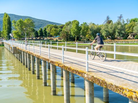 Trasimeno Glamping Resort  - Camping Pérouse - Image N°20