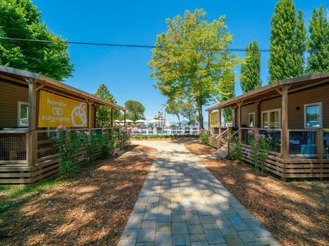 Trasimeno Glamping Resort  - Camping Perugia - Image N°4