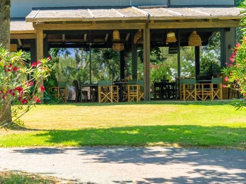 Trasimeno Glamping Resort  - Camping Perugia - Image N°3