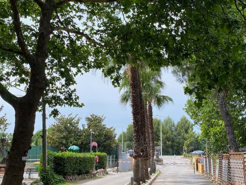 Camping de l'Arnel - Camping Hérault - Image N°12