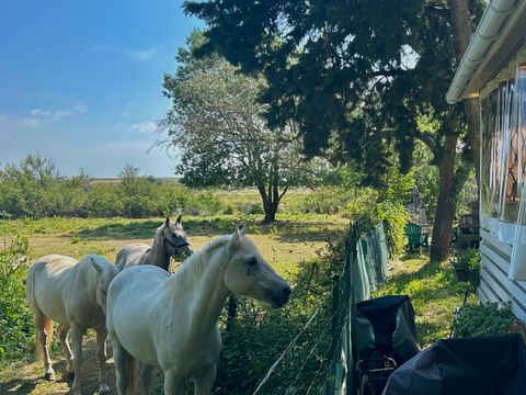 Camping de l'Arnel - Camping Hérault - Image N°27