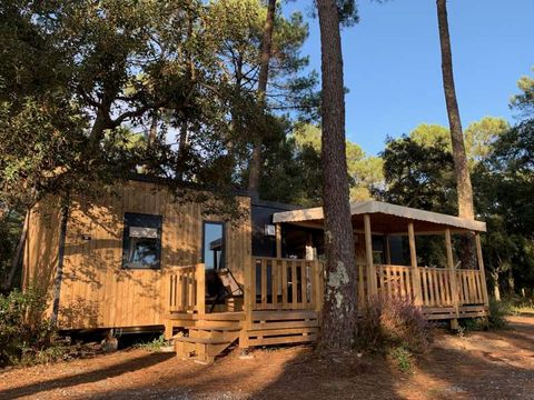 Lodge 5 personnes - Cottage Premium Cocoon 4/5p. - 2 chambres - TV - Climatisation