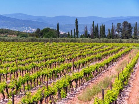 Camping Tikayan Les Cigales - Camping Var - Image N°42