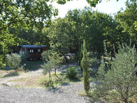 LODGE 5 personnes - Roulotte ( Séjour Deluxe ) climatisée / avec petit déjeuner / 2 pers inclus / Spa privatif en option