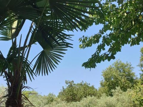 LODGE 2 personnes - Roulotte hôtelière climatisée avec petit déjeuner / Spa privatif en option