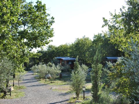 LODGE 3 personnes - Roulotte ( Séjour Premium ) climatisée/ tout inclus version luxe avec Spa privatif / 2 pers inclus
