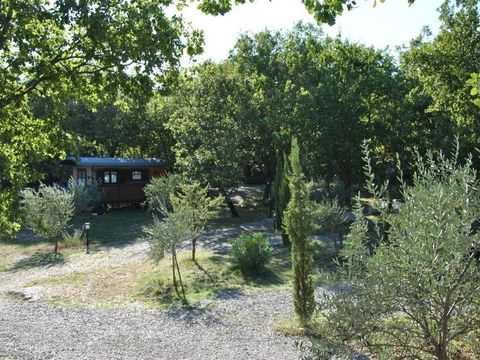 Hébergement 2 personnes - Cabane Forestière climatisée ( avec petit déjeuner et Spa privatif accès illimité ) / 2 pers inclus