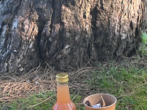 MOBILHOME 5 personnes - Cottage Opale  Vacances 2 Chambres  27m2 - Terrasse en bois