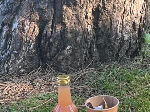 MOBILHOME 4 personnes - Cottage Opale Cocoon 2 Chambres  30 m2- Terrasse semi-couverte