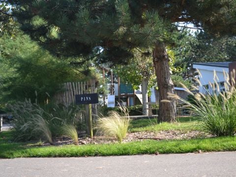 Camping La Foret Stella Plage - Camping Pas-de-Calais - Image N°3