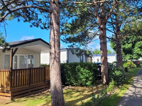 Camping La Foret Stella Plage - Camping Pas-de-Calais - Image N°2