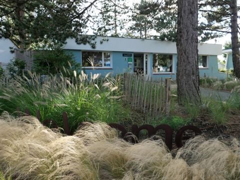 Camping La Foret Stella Plage - Camping Pas-de-Calais