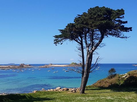 Flower Camping des Vallées - Camping Côtes-d'Armor - Image N°39