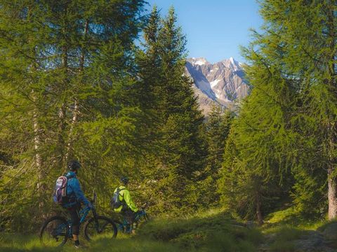 Camping Cevedale - Camping Trente - Image N°7